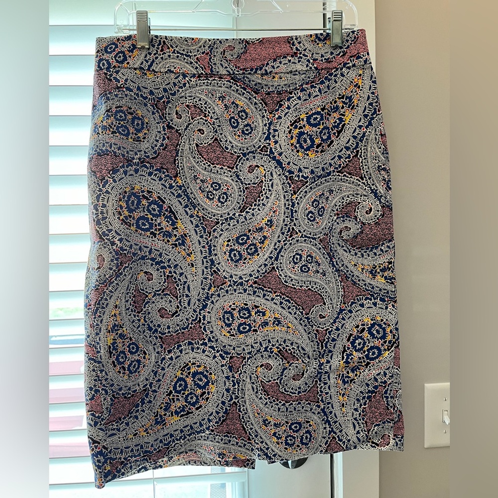 JCrew Dress Skirt